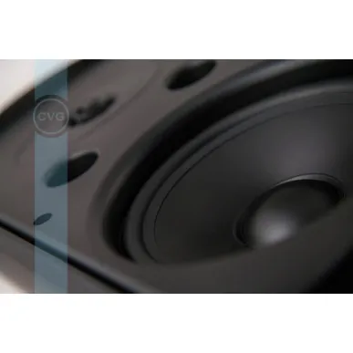 Настенная акустика CVGAUDIO RF616TBL